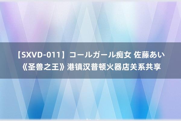 【SXVD-011】コールガール痴女 佐藤あい 《圣兽之王》港镇汉普顿火器店关系共享