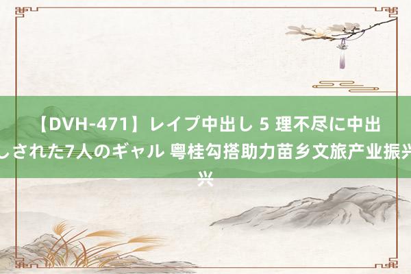 【DVH-471】レイプ中出し 5 理不尽に中出しされた7人のギャル 粤桂勾搭助力苗乡文旅产业振兴