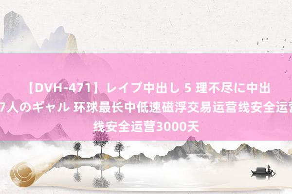 【DVH-471】レイプ中出し 5 理不尽に中出しされた7人のギャル 环球最长中低速磁浮交易运营线安全运营3000天