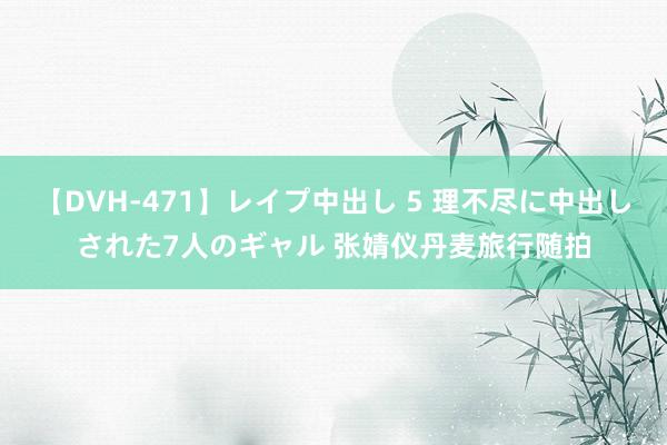 【DVH-471】レイプ中出し 5 理不尽に中出しされた7人のギャル 张婧仪丹麦旅行随拍