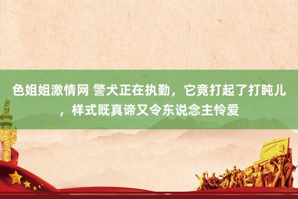 色姐姐激情网 警犬正在执勤，它竟打起了打盹儿，样式既真谛又令东说念主怜爱