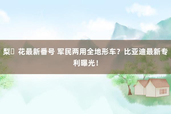 梨々花最新番号 军民两用全地形车？比亚迪最新专利曝光！