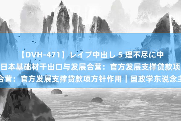 【DVH-471】レイプ中出し 5 理不尽に中出しされた7人のギャル 日本基础材干出口与发展合营：官方发展支撑贷款项方针作用｜国政学东说念主