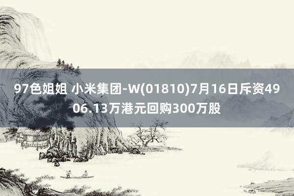 97色姐姐 小米集团-W(01810)7月16日斥资4906.13万港元回购300万股