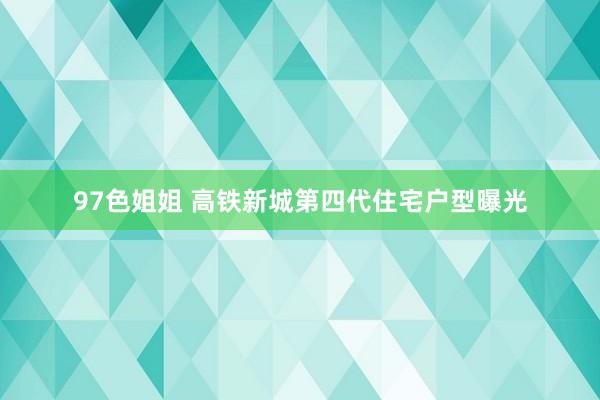 97色姐姐 高铁新城第四代住宅户型曝光