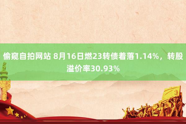 偷窥自拍网站 8月16日燃23转债着落1.14%，转股溢价率30.93%