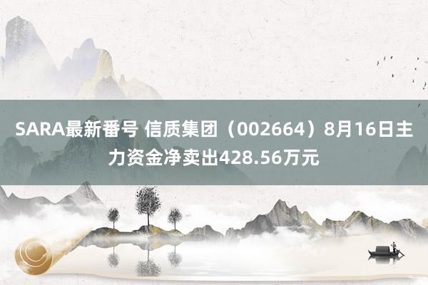 SARA最新番号 信质集团（002664）8月16日主力资金净卖出428.56万元