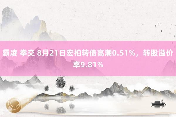 霸凌 拳交 8月21日宏柏转债高潮0.51%，转股溢价率9.81%