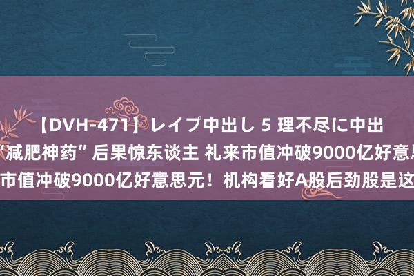 【DVH-471】レイプ中出し 5 理不尽に中出しされた7人のギャル “减肥神药”后果惊东谈主 礼来市值冲破9000亿好意思元！机构看好A股后劲股是这几只