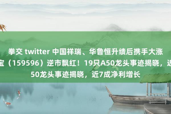 拳交 twitter 中国祥瑞、华鲁恒升绩后携手大涨，A50ETF华宝（159596）逆市飘红！19只A50龙头事迹揭晓，近7成净利增长