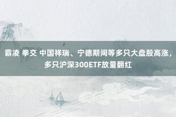 霸凌 拳交 中国祥瑞、宁德期间等多只大盘股高涨，多只沪深300ETF放量翻红