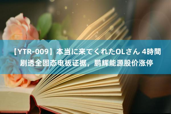 【YTR-009】本当に来てくれたOLさん 4時間 剧透全固态电板证据，鹏辉能源股价涨停