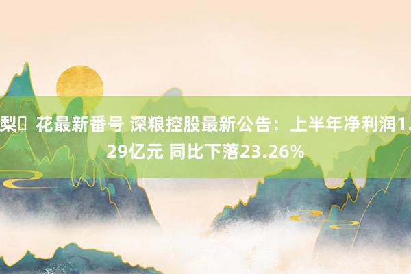 梨々花最新番号 深粮控股最新公告：上半年净利润1.29亿元 同比下落23.26%