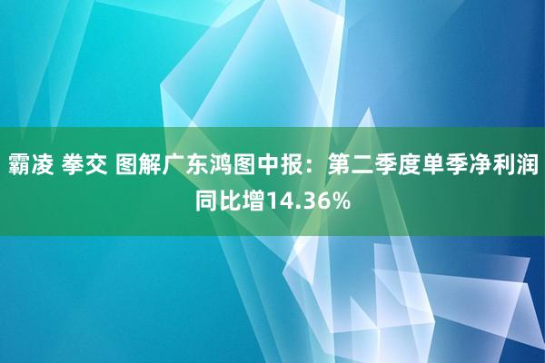 霸凌 拳交 图解广东鸿图中报：第二季度单季净利润同比增14.36%