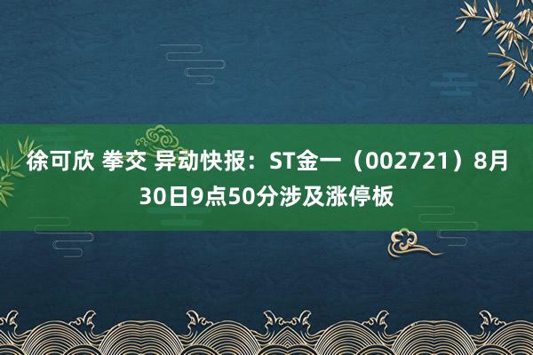 徐可欣 拳交 异动快报：ST金一（002721）8月30日9点50分涉及涨停板