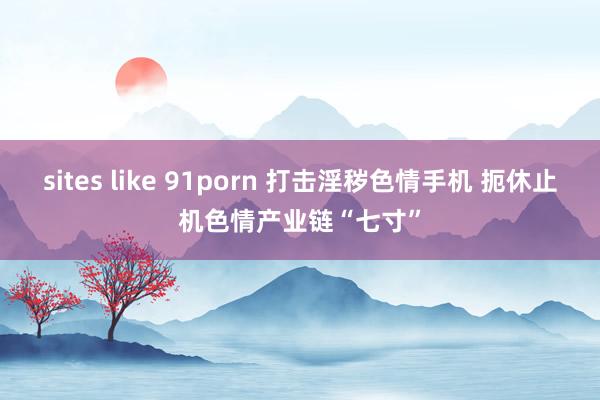 sites like 91porn 打击淫秽色情手机 扼休止机色情产业链“七寸”