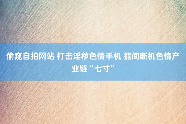 偷窥自拍网站 打击淫秽色情手机 扼间断机色情产业链“七寸”