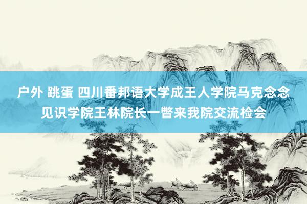 户外 跳蛋 四川番邦语大学成王人学院马克念念见识学院王林院长一瞥来我院交流检会