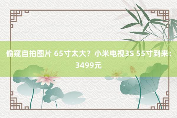 偷窥自拍图片 65寸太大？小米电视3S 55寸到来：3499元