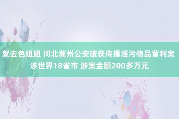 就去色姐姐 河北冀州公安破获传播淫污物品营利案 涉世界18省市 涉案金额200多万元