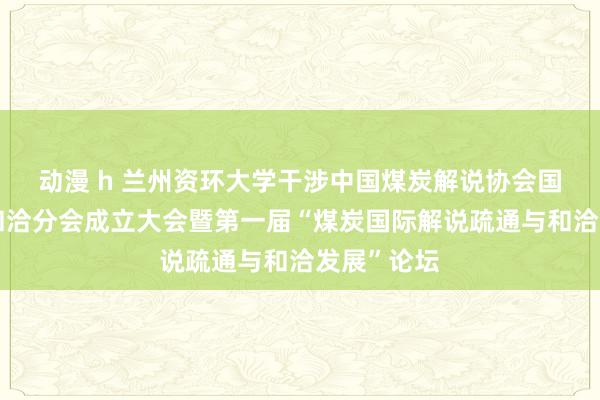 动漫 h 兰州资环大学干涉中国煤炭解说协会国际疏通与和洽分会成立大会暨第一届“煤炭国际解说疏通与和洽发展”论坛