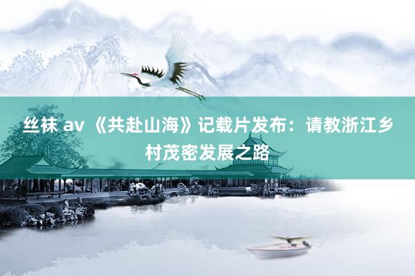 丝袜 av 《共赴山海》记载片发布：请教浙江乡村茂密发展之路