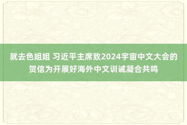 就去色姐姐 习近平主席致2024宇宙中文大会的贺信为开展好海外中文训诫凝合共鸣